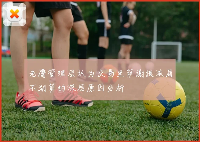 老鹰管理层认为交易里萨谢换浓眉不划算的深层原因分析