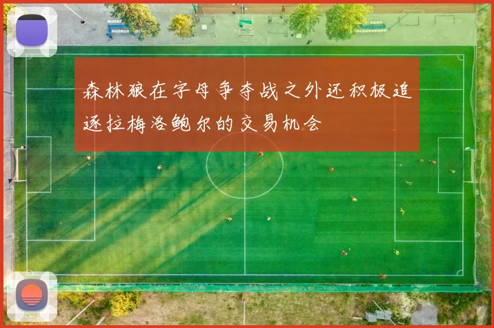 森林狼在字母争夺战之外还积极追逐拉梅洛鲍尔的交易机会