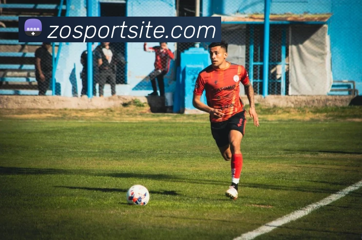 中欧体育平台生态图